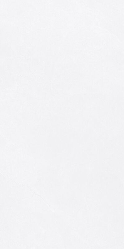 Modern Exquisite Style Antique Floor Tiles 600*1200mm Water Resistance