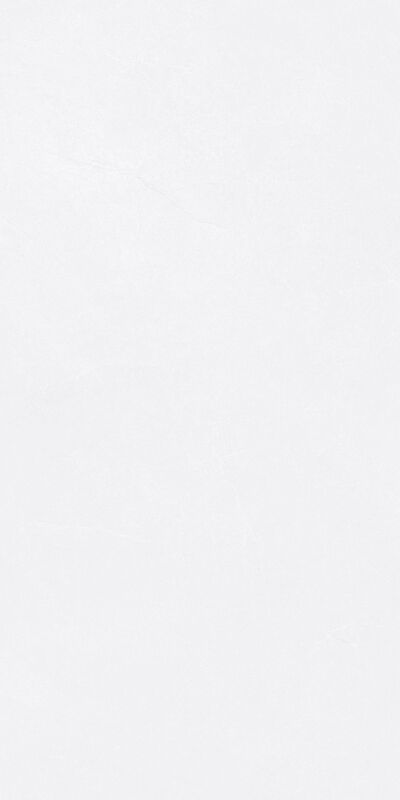 Modern Exquisite Style Antique Floor Tiles 600*1200mm Water Resistance