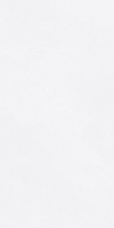 Modern Exquisite Style Antique Floor Tiles 600*1200mm Water Resistance