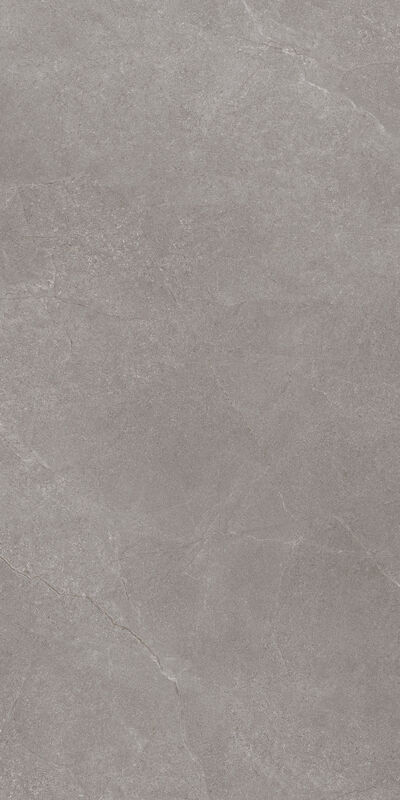 Stain Resistant Large Indoor Tiles Cupid Grey Coffee Antique Floor Tiles